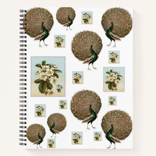 Spiral Notitieboek Peacock (Voorkant)