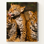 Spiral Notitieboek uit de familie Jaguar (Achterkant)