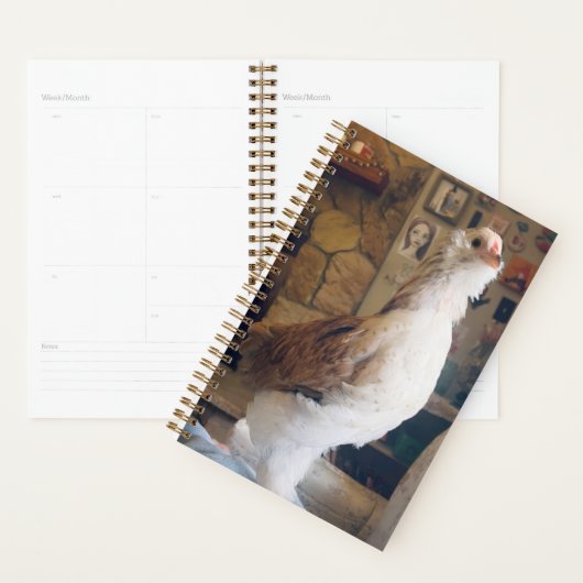 Spiral Planner Chicken on the Fireplace (Devant avec enveloppe)