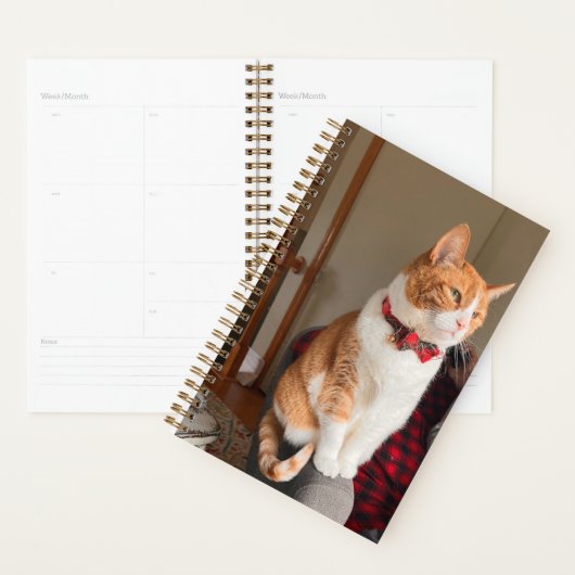 Spiral Planner Cozy Tabby Cat (Display)