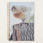 Spiral Planner - Its a Stumped Day (Devant)