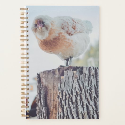 Spiral Planner - Its a Stumped Day (Devant)