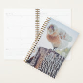 Spiral Planner - Its a Stumped Day (Devant avec enveloppe)