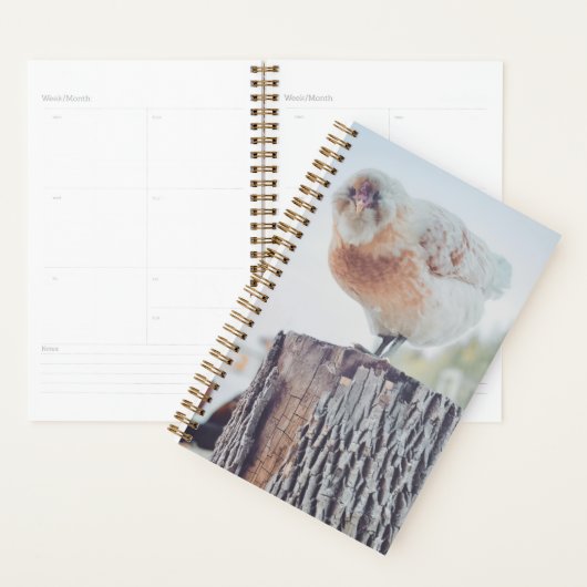 Spiral Planner - Its a Stumped Day (Devant avec enveloppe)