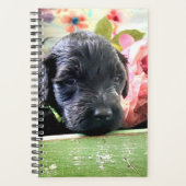 Spiral Planner Sweet Portuguese Water Dog (Devant)