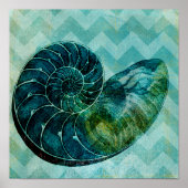 Spiral Turquoise Conch Shell Poster (Voorkant)