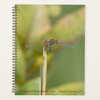 Spiralgebonden planner met libelfoto