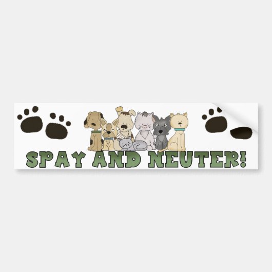 Spire et Neuter vos animaux Sticker pare-chocs (Devant)