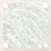 Spirea Arguta Glazen Onderzetter (Achterkant)