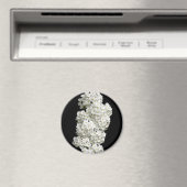 Spirea Arguta Magnet Magneet (Insitu (Vaatwasser))