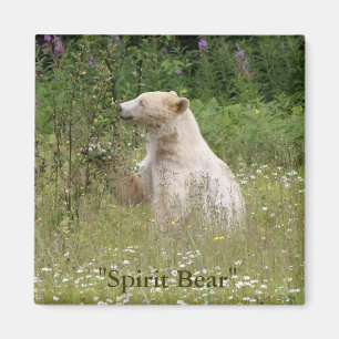 Spirit Beer Gifts Magneet
