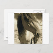 Spirit Briefkaart (Voorkant / Achterkant)