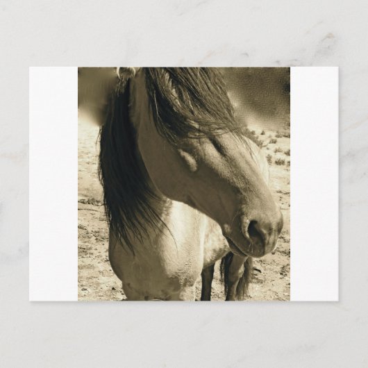 Spirit Briefkaart (Voorkant)