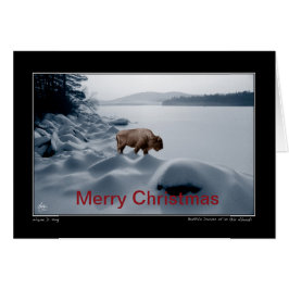 Spirit Buffalo voor het meer - Kerst Kaart