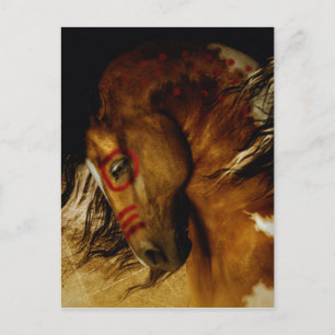 Spirit Horse Briefkaart