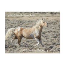 Spirit of the American West - Briefkaart