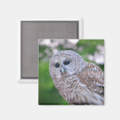 Spirit Of The Owl Magnet (Recto/Verso)