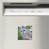 Spirit Of The Owl Magnet (In Situ (Lave-vaisselle))
