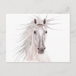 Spirit of the Wind Horse -- Briefkaart