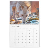 SPIRIT OF WOLVES ART #3 CALENDAR KALENDER (Jan 2026)