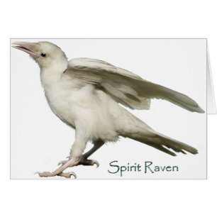 Spirit Raven II reeks