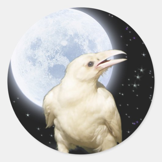 SPIRIT RAVEN Serie II Ronde Sticker (Voorkant)