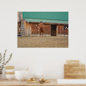 Spirited Sorrel Horse Bucking by a Barn Poster (Keuken)