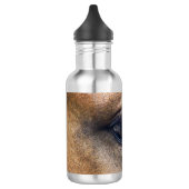 Spirit's oog waterfles (Links)