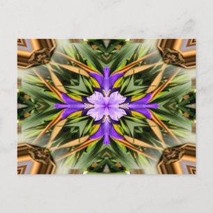 Spiritueel... Briefkaart