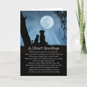 Spiritueel verlies van hond, Kat Sympathie Kaart m