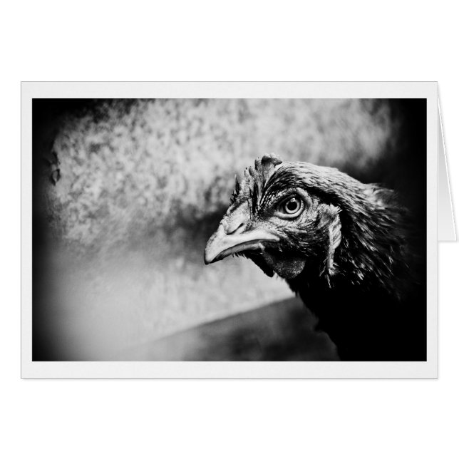 spiritueux et poulets (Devant horizontal)