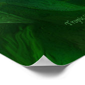 Spiritueux tropicaux - Poster d'Art Gold et Blue M (Coin)