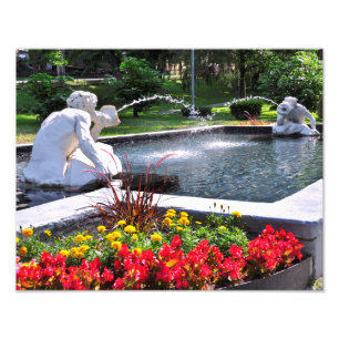 Spit en spat - CONGRESS PARK Foto Afdruk