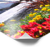 Spit en spat - CONGRESS PARK Foto Afdruk (Hoek)