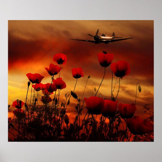 Spitfire Salute Poster (Voorkant)