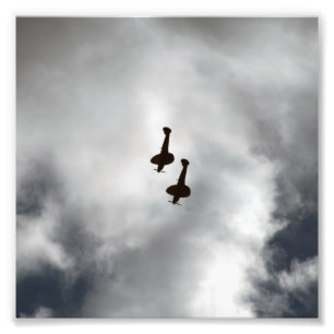 Spitfire Silhouette Foto Afdruk