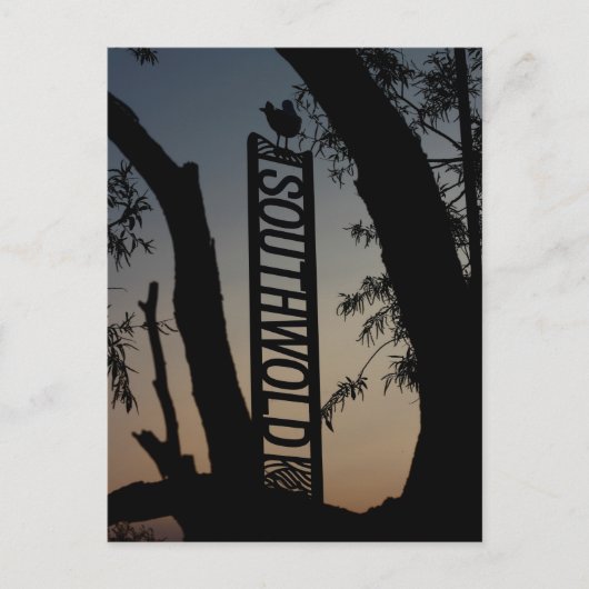 Spitssnuitslangenarend Briefkaart (Voorkant)