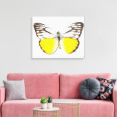 Spitssnuitsnavelhaai Canvas Afdruk (Insitu (Woonkamer))