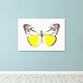 Spitssnuitsnavelhaai Canvas Afdruk (Insitu (Houten vloer))