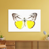 Spitssnuitsnavelhaai Canvas Afdruk (Insitu (Woonkamer))