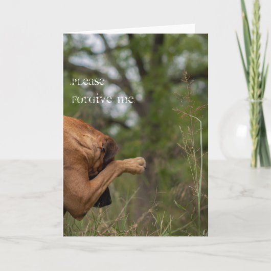 Spitssnuitsnavelhaai Kaart (Voorkant)