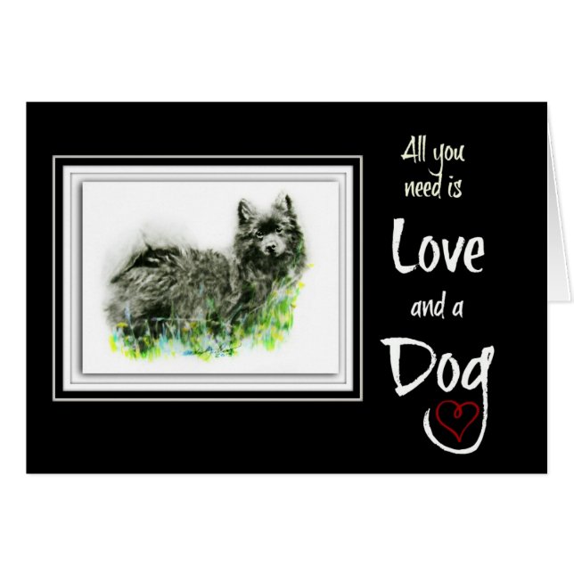 Spitz allemand (Devant horizontal)