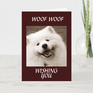 SPITZ WENST U *GEFELICITEERD MET UW AFSTUDEREN* KAART