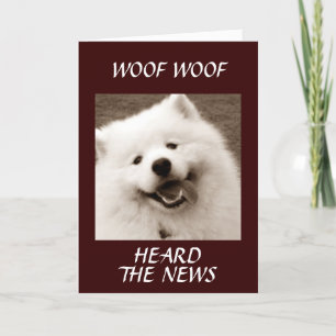 SPITZ ZEGT *CONGRATS OVER UW NIEUWE MOGELIJKHEID* KAART