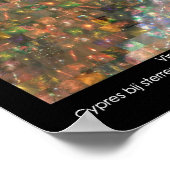 Spitzer Space Telescope / van Gogh Poster (Hoek)