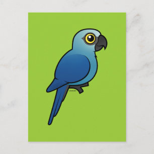 Spix's Macaw Briefkaart