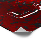 splaatstlacrosse poster (Hoek)