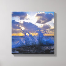 Splash