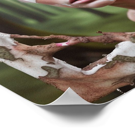 SPLASH FESTIVAL POSTER (Hoek)