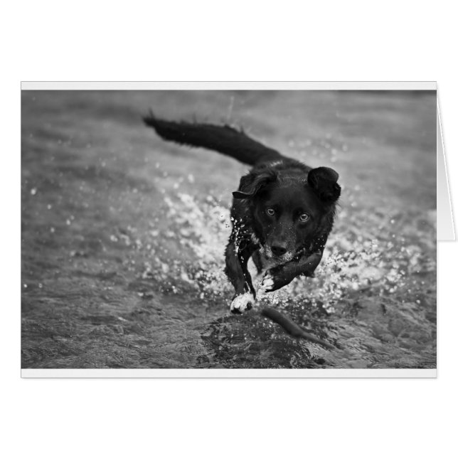 splash maken (Voorkant Horizontaal)